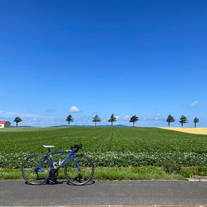 北海道大空町 / 夏のメルヘンの丘