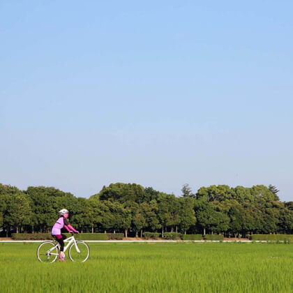 茨城県土浦市 / 初夏の田園風景