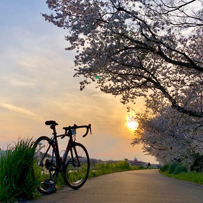 茨城県土浦市 / 桜川の夕陽