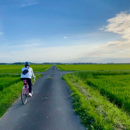 千葉県香取市 / 利根川沿いの田園風景