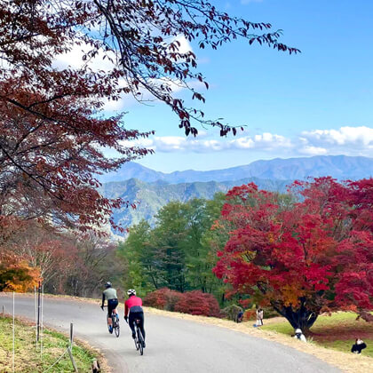 長野県大町市 / 秋の七色大カエデ