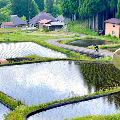 長野県白馬村 / 青鬼の棚田