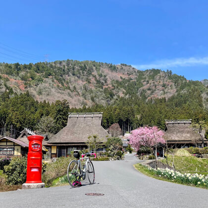 京都府南丹市 / 美山かやぶきの里の桜