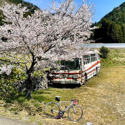 京都府南丹市 / 廃バスと桜の風景