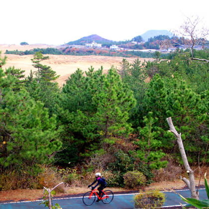 鳥取県鳥取市 / 鳥取砂丘を望む風景